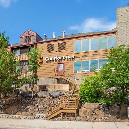 Comfort Inn I-17 & I-40 Flagstaff Ngoại thất bức ảnh