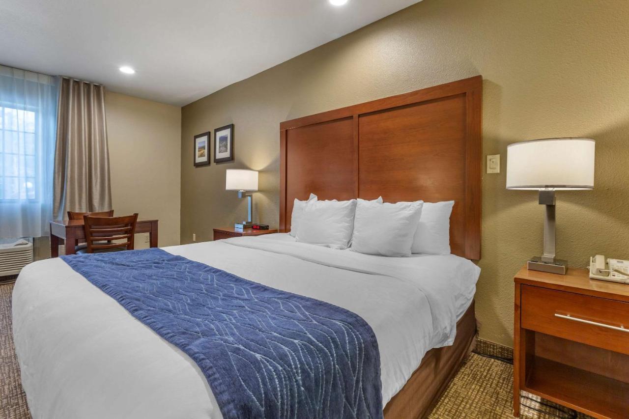 Comfort Inn I-17 & I-40 Flagstaff Ngoại thất bức ảnh