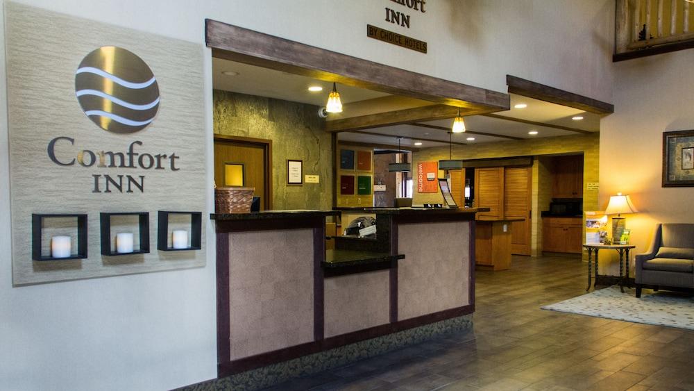 Comfort Inn I-17 & I-40 Flagstaff Ngoại thất bức ảnh