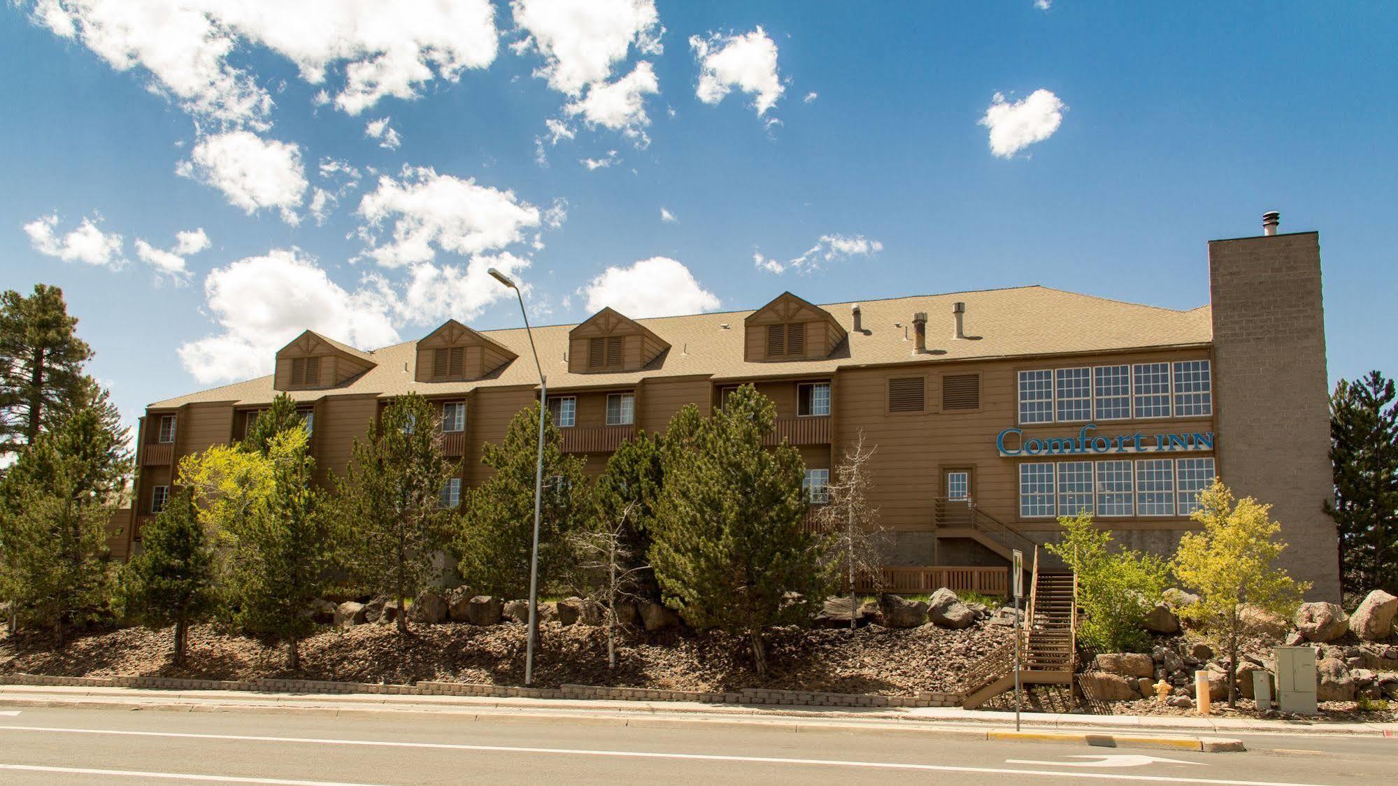 Comfort Inn I-17 & I-40 Flagstaff Ngoại thất bức ảnh